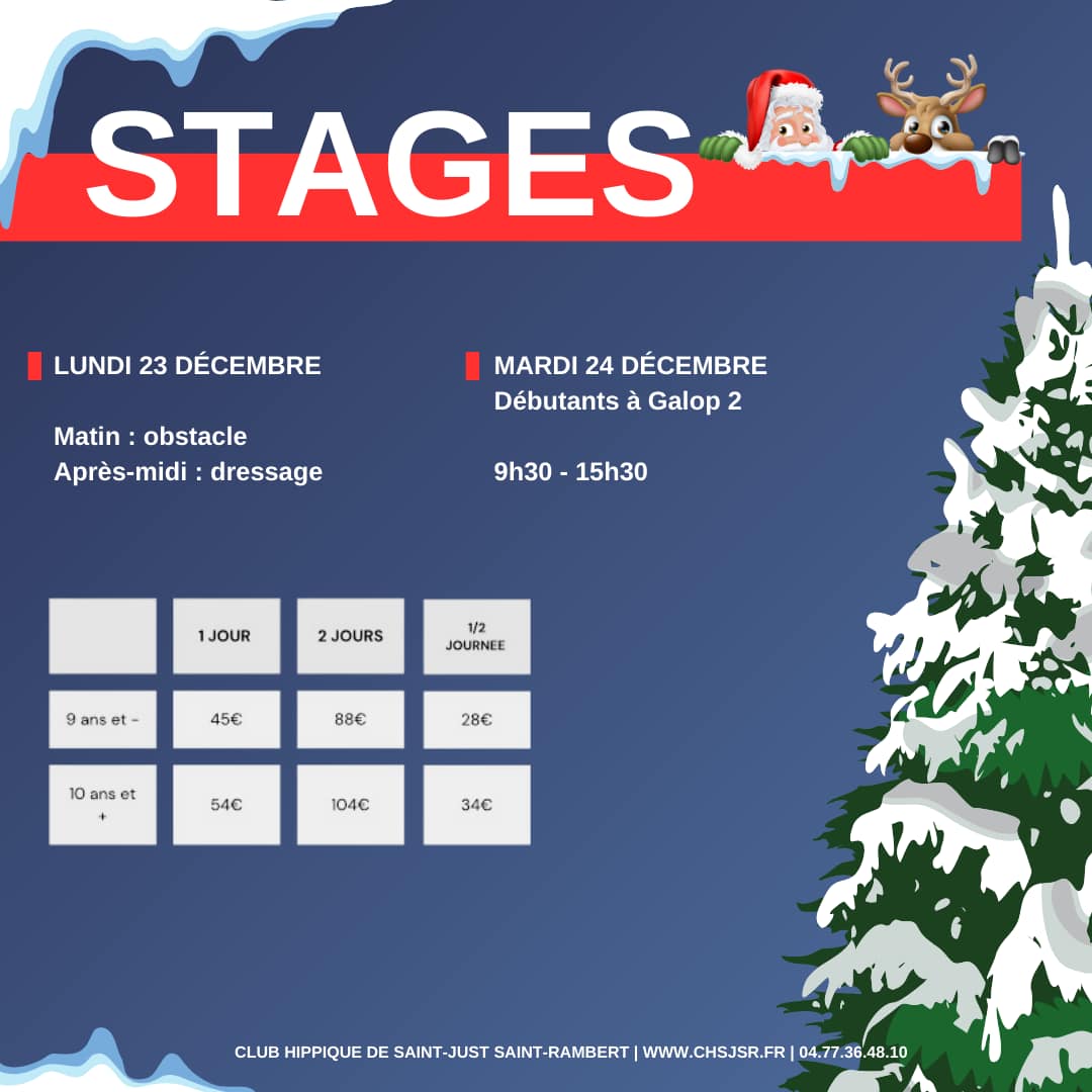 Stages de Noël 2024