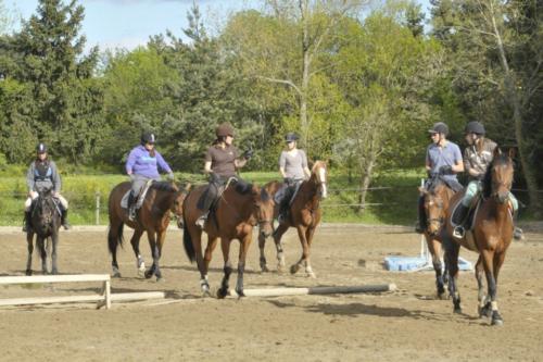 Centre Equestre Saint Just Saint Rambert