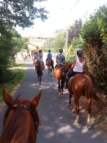 Centre Equestre Saint Just Saint Rambert