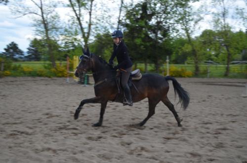 Centre Equestre Saint Just Saint Rambert