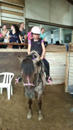 Centre Equestre Saint Just Saint Rambert