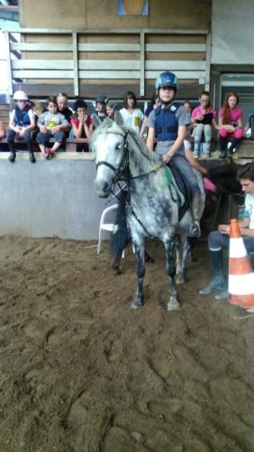 Centre Equestre Saint Just Saint Rambert