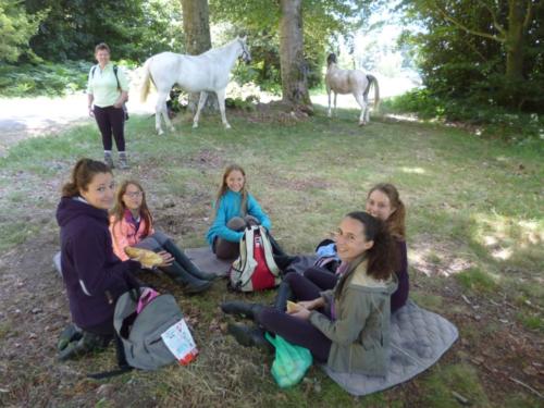 Centre Equestre Saint Just Saint Rambert