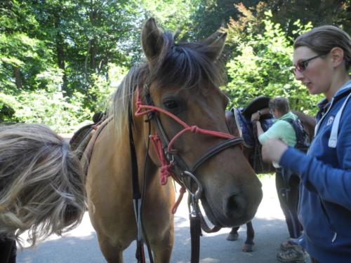 Centre Equestre Saint Just Saint Rambert