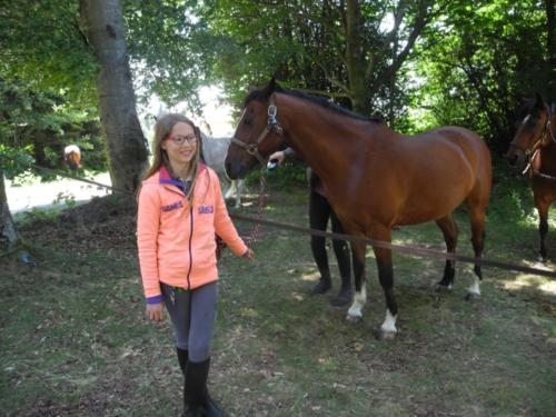 Centre Equestre Saint Just Saint Rambert