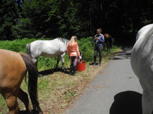 Centre Equestre Saint Just Saint Rambert