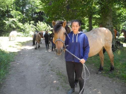 Centre Equestre Saint Just Saint Rambert