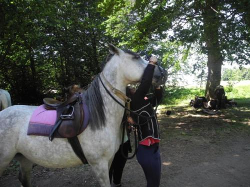 Centre Equestre Saint Just Saint Rambert