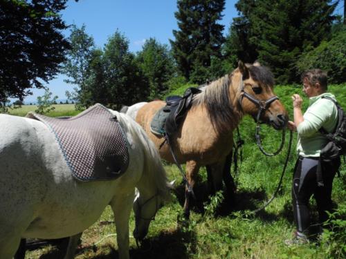 Centre Equestre Saint Just Saint Rambert