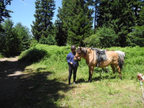 Centre Equestre Saint Just Saint Rambert