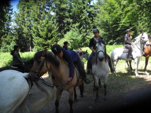 Centre Equestre Saint Just Saint Rambert