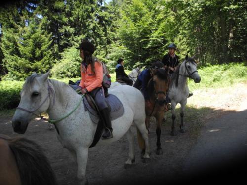 Centre Equestre Saint Just Saint Rambert