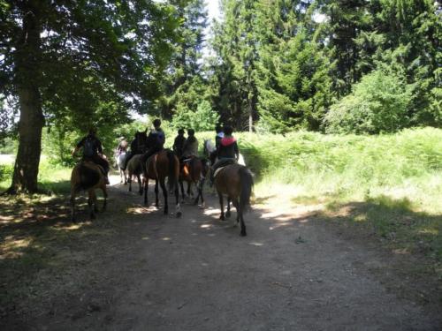 Centre Equestre Saint Just Saint Rambert