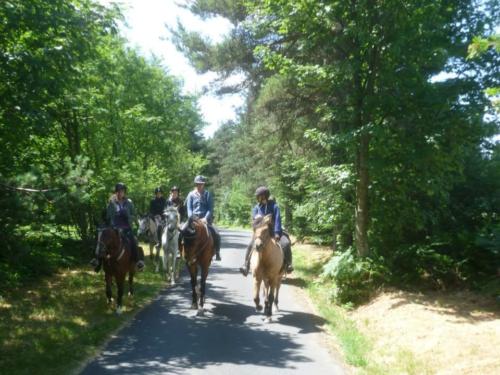 Centre Equestre Saint Just Saint Rambert