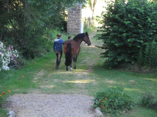 Centre Equestre Saint Just Saint Rambert