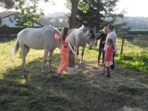 Centre Equestre Saint Just Saint Rambert