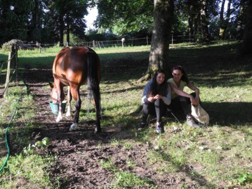 Centre Equestre Saint Just Saint Rambert