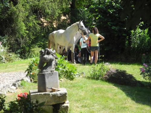 Centre Equestre Saint Just Saint Rambert