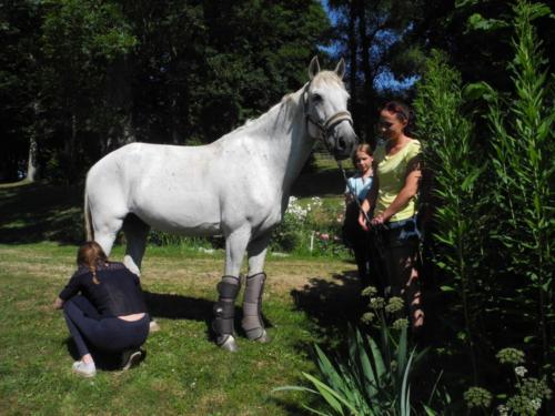 Centre Equestre Saint Just Saint Rambert