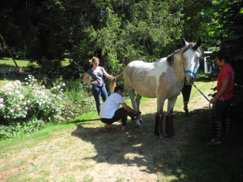 Centre Equestre Saint Just Saint Rambert