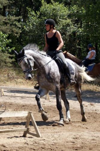 Centre Equestre Saint Just Saint Rambert