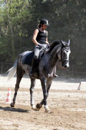 Centre Equestre Saint Just Saint Rambert