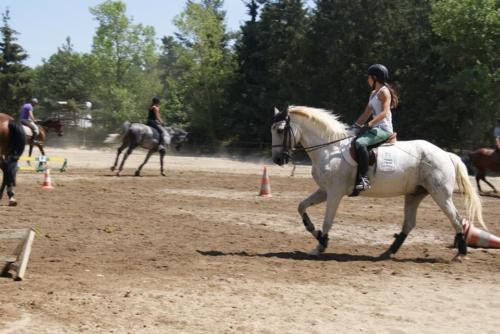 Centre Equestre Saint Just Saint Rambert