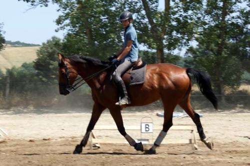 Centre Equestre Saint Just Saint Rambert