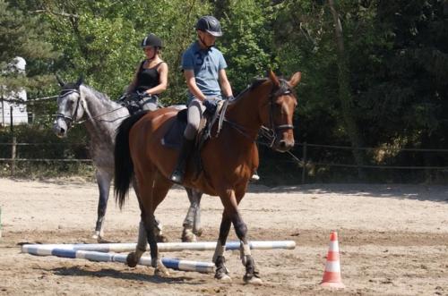 Centre Equestre Saint Just Saint Rambert