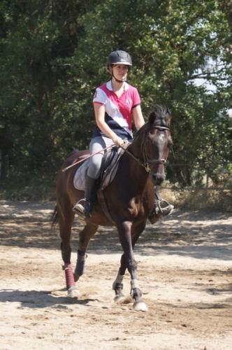 Centre Equestre Saint Just Saint Rambert