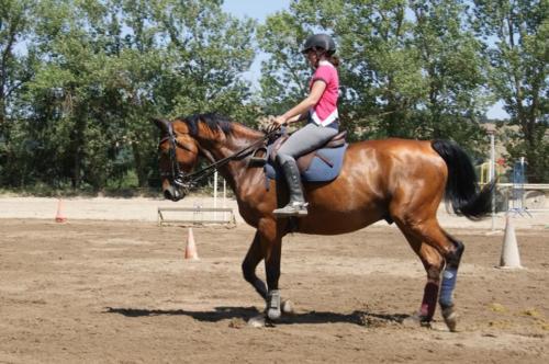 Centre Equestre Saint Just Saint Rambert