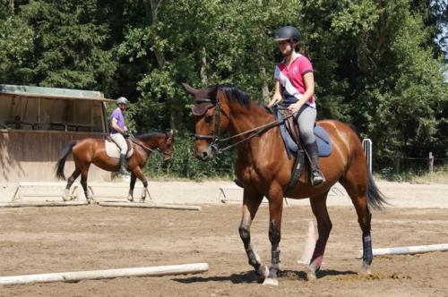 Centre Equestre Saint Just Saint Rambert