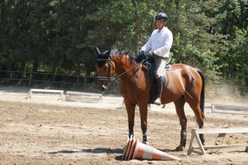 Centre Equestre Saint Just Saint Rambert