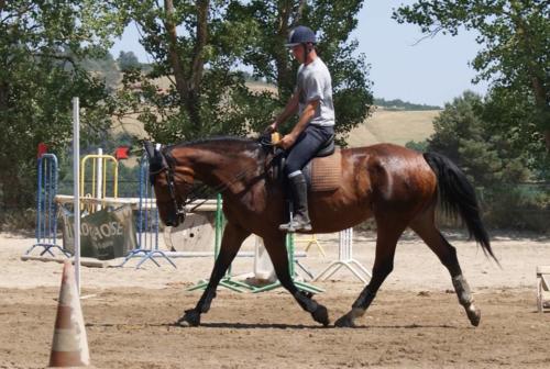 Centre Equestre Saint Just Saint Rambert