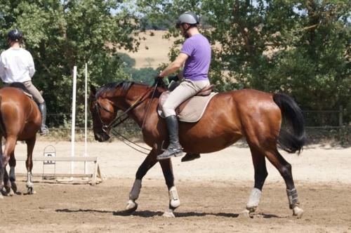 Centre Equestre Saint Just Saint Rambert