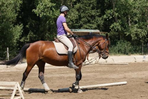 Centre Equestre Saint Just Saint Rambert