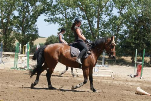 Centre Equestre Saint Just Saint Rambert