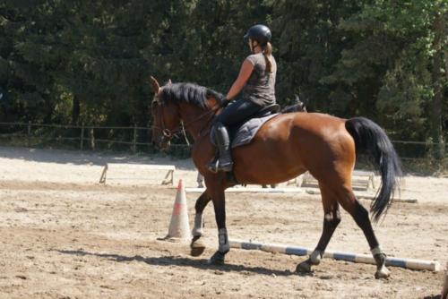 Centre Equestre Saint Just Saint Rambert