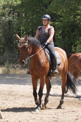 Centre Equestre Saint Just Saint Rambert