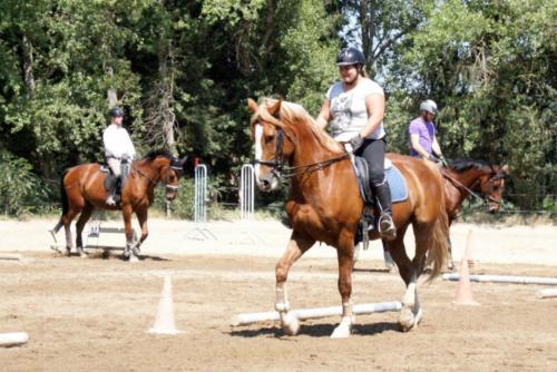 Centre Equestre Saint Just Saint Rambert