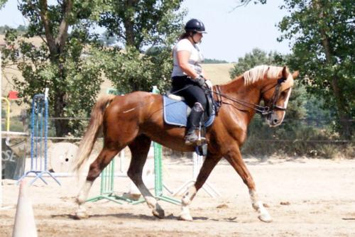 Centre Equestre Saint Just Saint Rambert