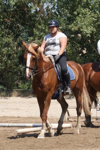 Centre Equestre Saint Just Saint Rambert