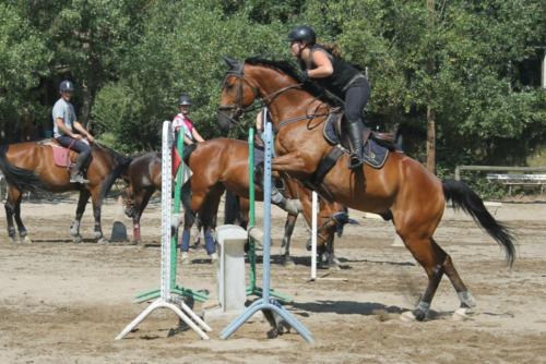 STAGE OBSTACLE JUILLET Manon et Replay