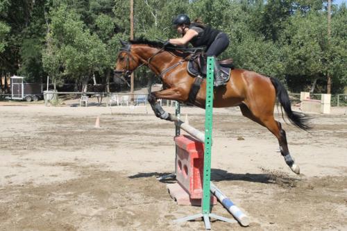 Centre Equestre Saint Just Saint Rambert