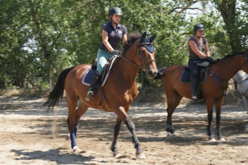 Centre Equestre Saint Just Saint Rambert