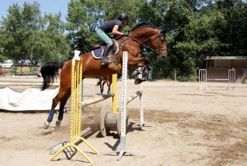 Centre Equestre Saint Just Saint Rambert