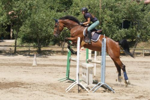 Centre Equestre Saint Just Saint Rambert