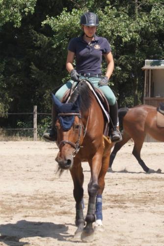 Centre Equestre Saint Just Saint Rambert